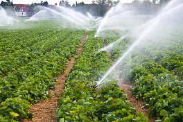 Water treatment for agricultural irrigation